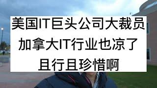 美国科技大公司裁员，加拿大IT行业也凉了，且行且珍惜啊