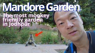 Mandore Garden - monkey paradise | Least popular tourist attraction in Jodhpur | Travel Vlog |