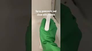 Cleaning Motivation- How to Properly Clean & Kill Mold from Showers & Tubs #shorts