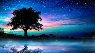 Relaxing Sleep Music + Night Nature Sounds  Soft Crickets, Calming Piano