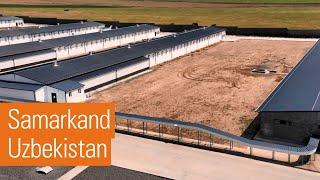 Layer farm project for powerful egg production in Uzbekistan