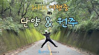 [후니이즈여행중] 단양&원주 2박 3일 패러글라이딩, 고수동굴, 이끼터널, 도담삼봉 모터보트, 터득골북샵, 소금산 출렁다리, 뮤지엄산