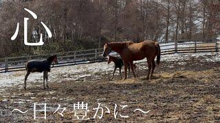 【第1グループ】　コミュニケーションを学ぶ日々〜ほのぼのとした関係に〜