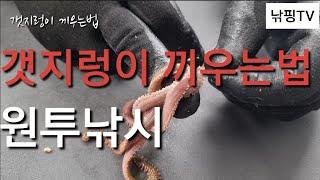 [ 갯지렁이 끼우는법 ] 오랫동안 살아있고 / 케스팅때 떨어지지않고 / 빠른입질을 받는 방법 / 원투낚시