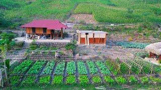 Live In The Wild! Build fresh Vegetable Gardens, Harvest Corn to Sell, Grow Flowers and Aquaculture