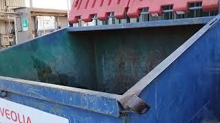 Ibis bird looking for food in bin