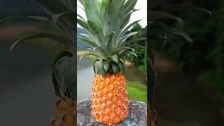Women To Fly Special പൈനാപ്പിൾ അച്ചാർ / Pineapple Pickle #pickle #shorts #viral