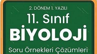 11 Biyoloji 2 dönem 1 yazılıya hazırlık soru çözümleri MEB Maarif modele göre