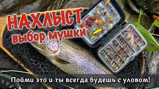 НАХЛЫСТ для начинающих: выбор правильной мушки для успешной рыбалки | Энтомология на практике