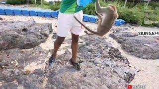 iShowSpeeed GETS ATTACKED AND ROBBED BY MONKEYS 