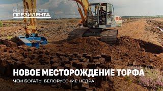 18 тысяч тонн за год! Как в Беларуси добывают торф? На контроле Президента