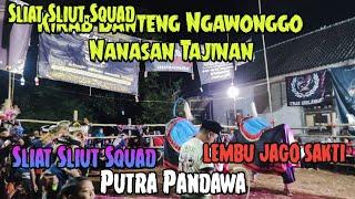 Kirab Banteng Nanasan Tajinan | Sliat Sliut Squad |  Putra Pandawa | Lembu Jago Sakti