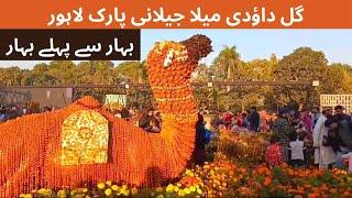 Flower Festival | Gul e Dawoodi Exhibition in Race Course park Lahore #aliyaanazlaandiscoveries