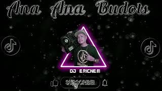 Viral Tiktok | Ana Ana Ta Budots Remix | Dj Ericnem