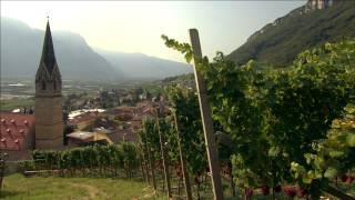 Südtirol/Alto Adige Wine - educational film