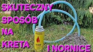 Jak pozbyć się KRETA z działki ️ Sprawdzony 100% skuteczny spsób ma Kreta i Nornice