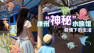 【Lin’s Vlog】康州“神秘”水族馆与  新冠疫情下的美国生活 | Visiting Mystic Aquarium during Coronavirus（COVID-19） pandemic