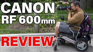 The best first lens for wildlife? Canon RF 600mm F11 Review