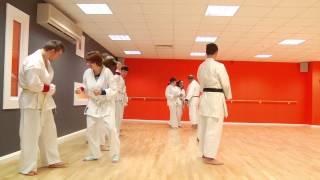 Disability Karate and Inclusion