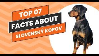 Top 07 Reasons Why the "Black & Brown Hound" Will Steal Your Heart (Slovenský Kopov)