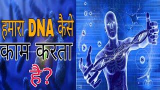 How does the DNA work ? [HINDI] - Knowledge Tv