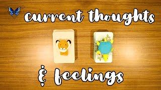 ️‍️‍🩹 WHAT ARE THEIR CURRENT THOUGHTS AND FEELINGS FOR YOU?!  Timeless Tarot Reading 