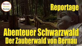 The enchanted forest of Bernau | Adventure Black Forest | Excursion destinations Baden-Württemberg