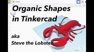Tinkercad Tutorial - Organic Shapes