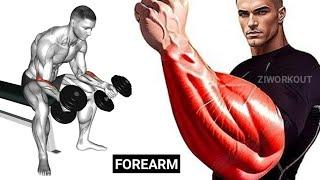 Transform Your Forearms | Best Forearm Workout at Gym | Wrist Exercise