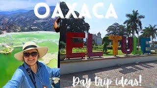 Oaxaca, Day Trip at El Tule and Hierve el Agua!