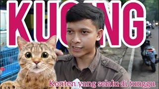 Harga kucing di bandung