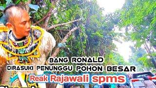 Abang Ronald dirasuki penunggu pohon besarReak rajawali spmsUrang Sunda Channel