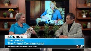 Sue London - The Animal Communicator