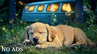 12 Hours of Dog Calming Music for Dogs  Dog Sleep Music  Separation Anxiety Relief Music