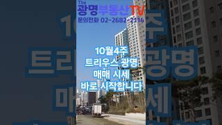 트리우스 광명 매매 시세 10월4주 광명뉴타운 2구역 아파트 뉴타운현대부동산 #광명뉴타운 #광명아파트 #트리우스광명 #광명재개발 #광명사거리역 #광명시장