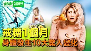 戒糖1個月！身體將發生10大驚人變化！｜穩定血糖｜減肥｜皮膚保養 | #健康新視界