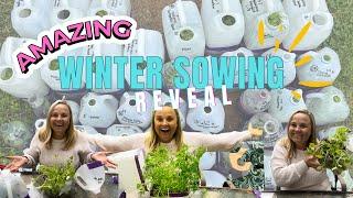 EPIC RESULTS You Have To See To Believe | winter sowing 2024