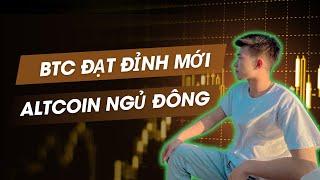 BTC Lập Đỉnh Lịch Sử, Nhưng Altcoin Vẫn "Ngủ Đông": Chuyện Gì Đang Xảy Ra?