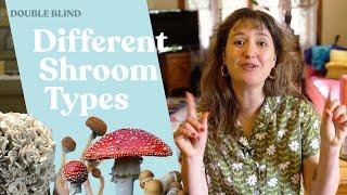 Shroom Types 101  | DoubleBlind