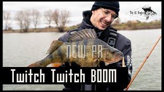 Perch and Zander fishing: Twitch, twitch, BOOM!