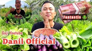 Gaji Youtube Danil Official Terbaru •• Fantastis 