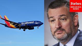 'What Needs To Be Done?': Ted Cruz Questions Witness On Southwest Airlines Cancelling 16,000 Flights