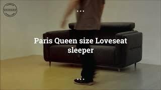 Paris Queen Size Loveseat Sleeper