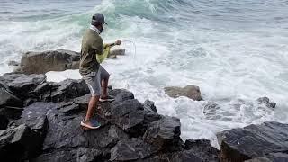 Trevally Caught on Major Craft Triple Cross TCX-962H & Jigpara Slow Jig