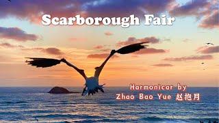 Scarborough Fair with the Blues Harmonica 用布鲁斯口琴吹奏 斯卡布罗集市