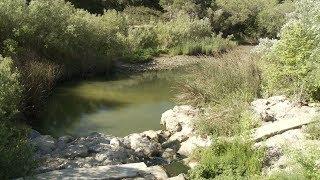 Creeks Estuaries and Lagoons