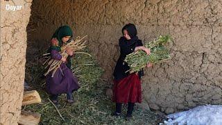 Afghanistan village life bamyan