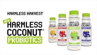 Harmless Harvest Coconut Probiotics at Whole Foods Market