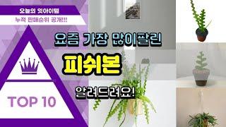 피쉬본 추천 판매순위 Top10 || 가격 평점 후기 비교