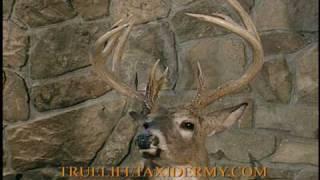 True LIfe Taxidermy 30-second spot for 2009